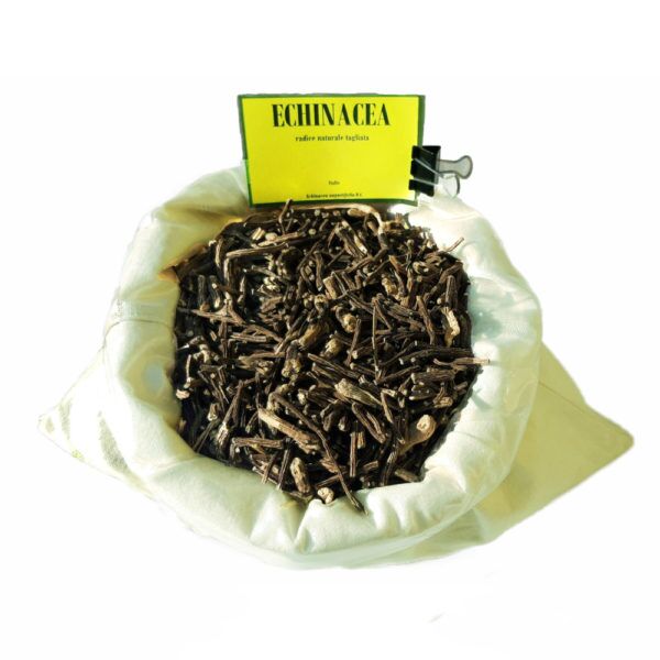 Echinacea radice tagliata € 9.90 hg